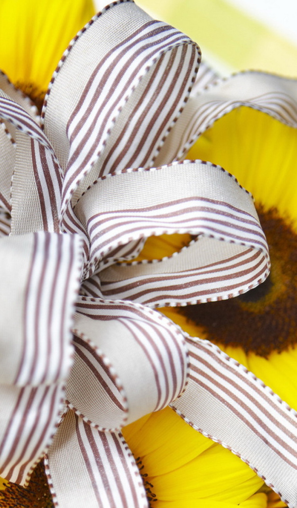 Солнечный подарок