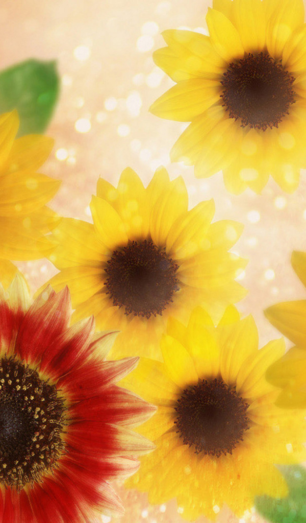 Подсолнухи