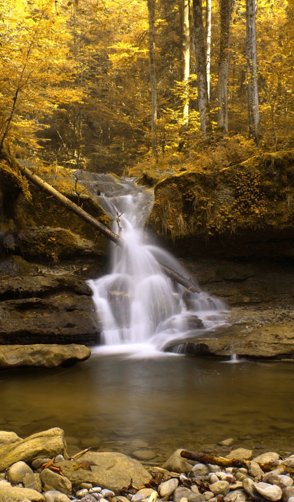 Водопад в желтом лесу