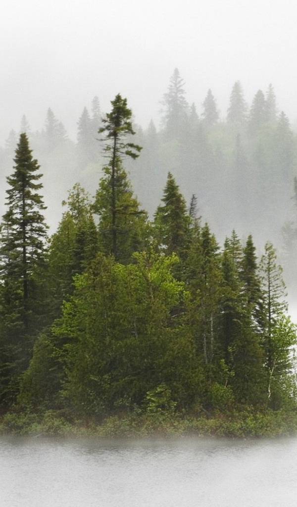 Туманные острова