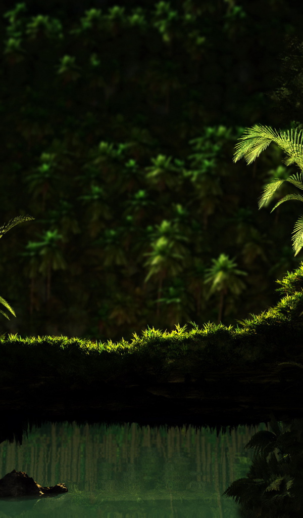 Тропический лес