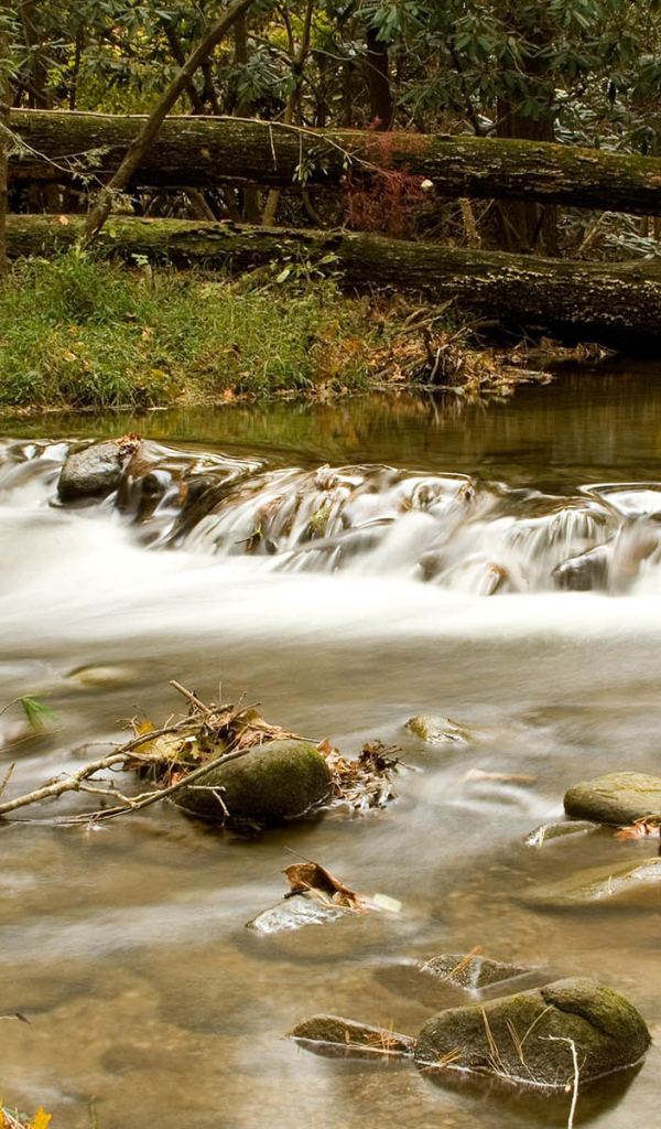 Маленькая речка