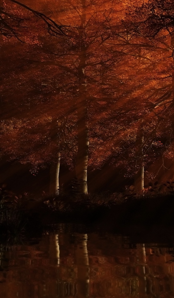 Рыжий лес на закате