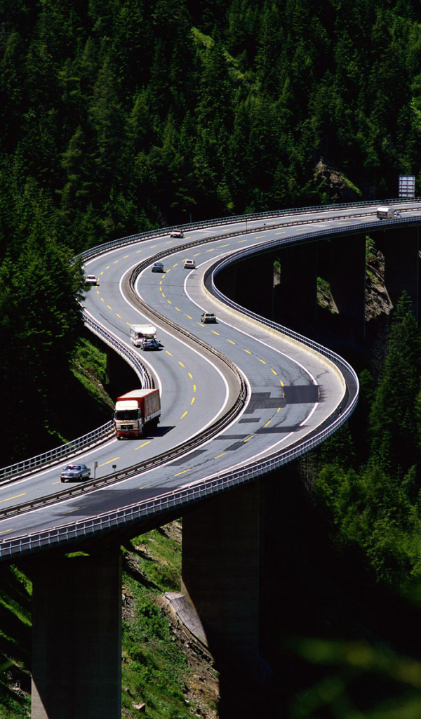 Возвышаясь над деревьями