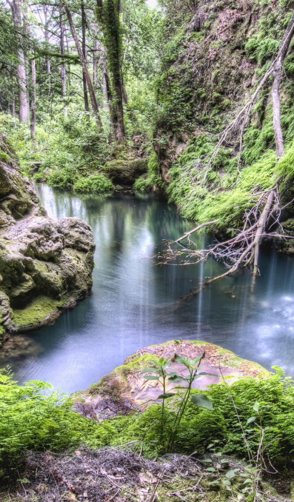 Лес, каменные склоны, ручей