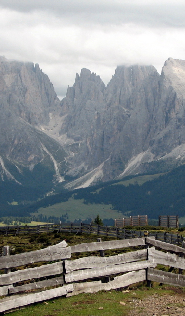 Забор уходящий ввысь