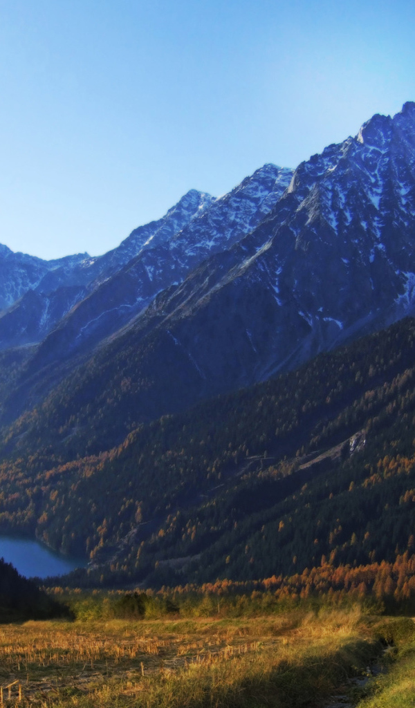 Высокие горы