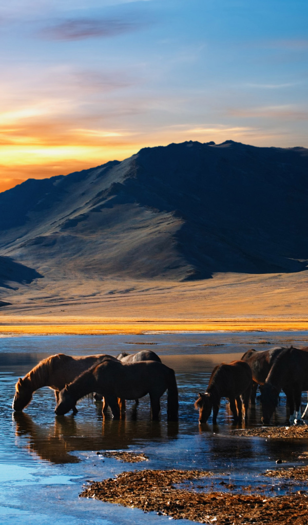 Озеро в горах