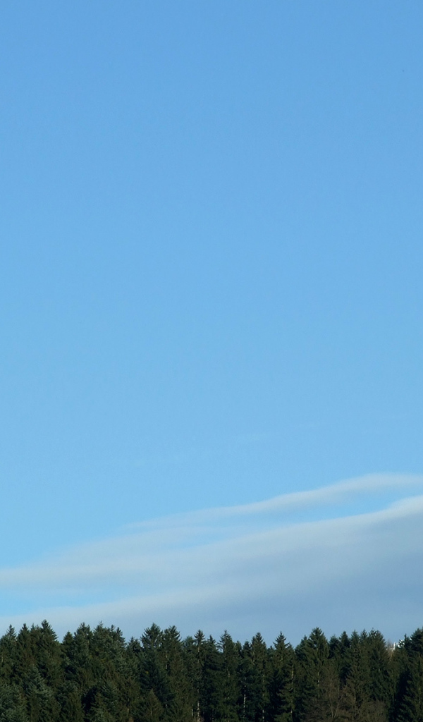 Гора над лесом