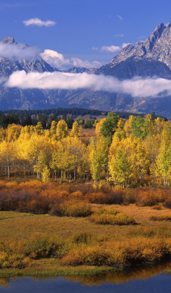 Горный пейзаж