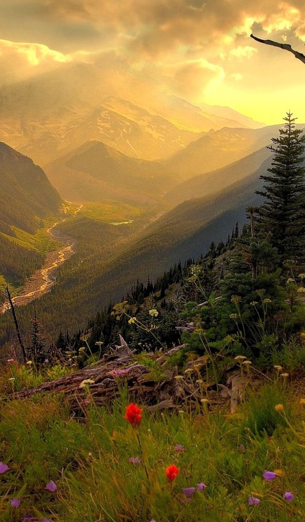 Горная долина