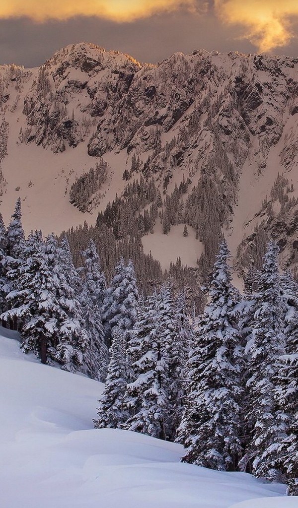 Горная свежесть