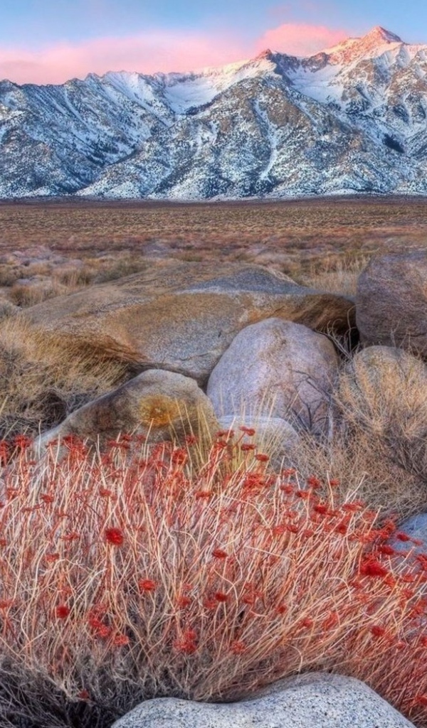 Горы среди пустыни