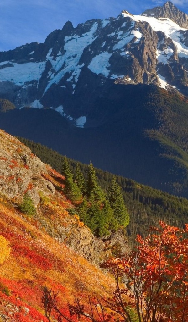 Оранжевый склон