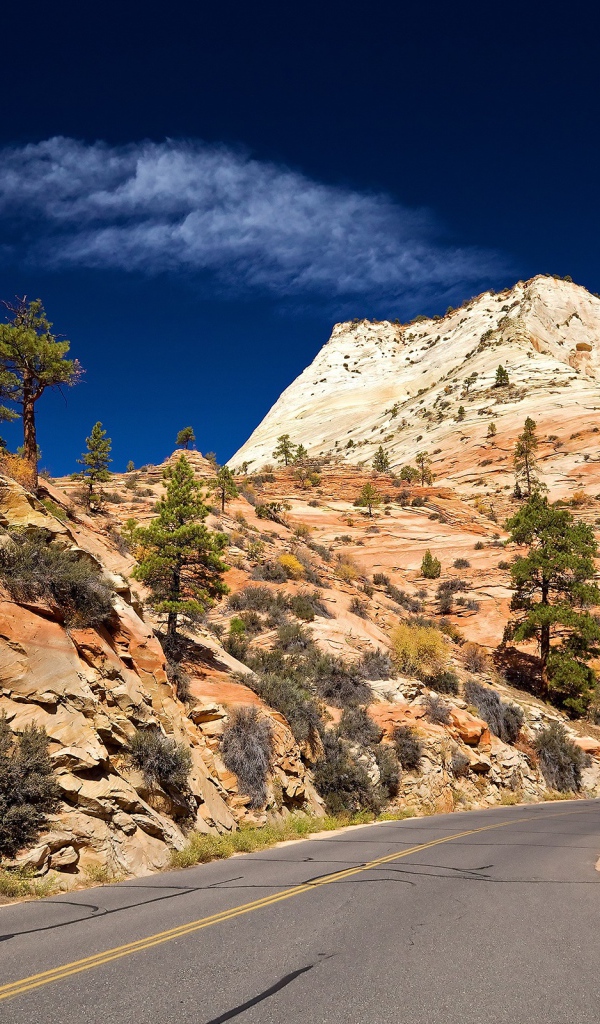 Дорога в горы