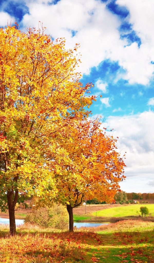 Осенний пейзаж