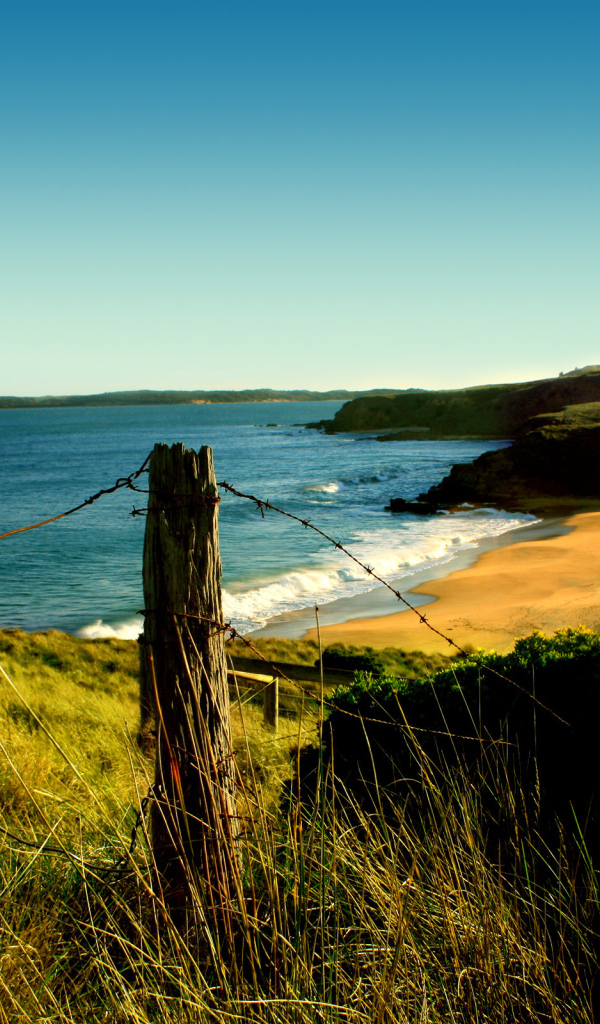 Красота природы