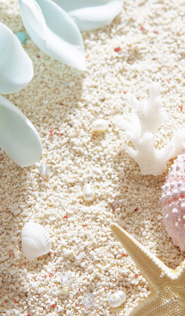 Красоты морского дна