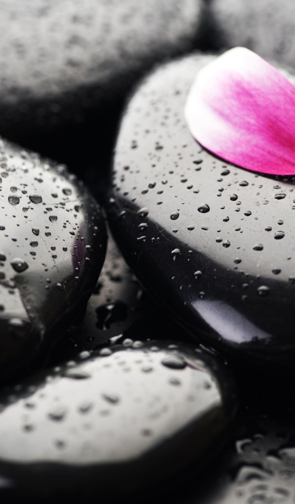 Черные камни