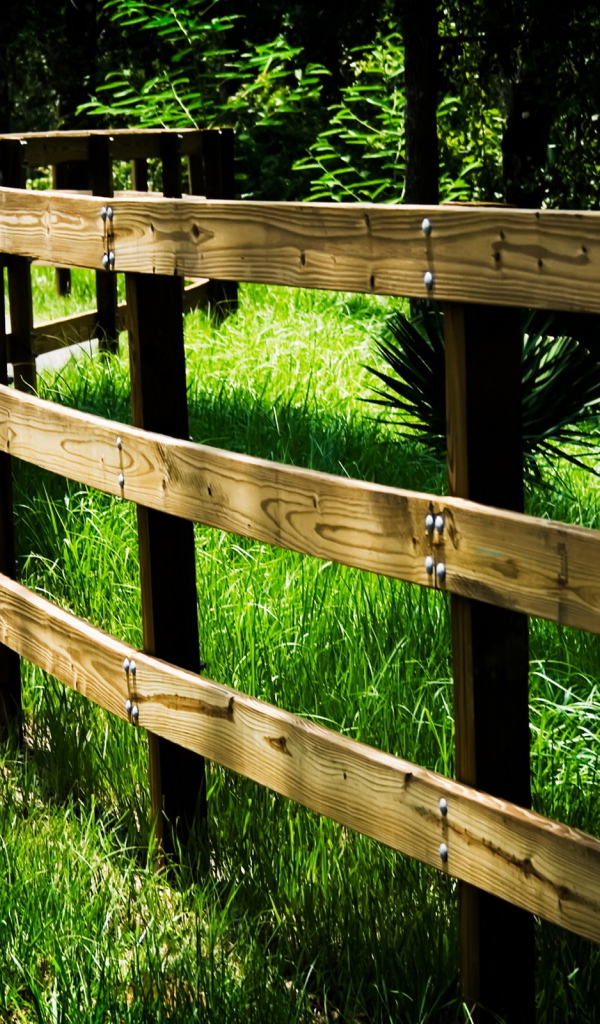 Забор вдоль дороги