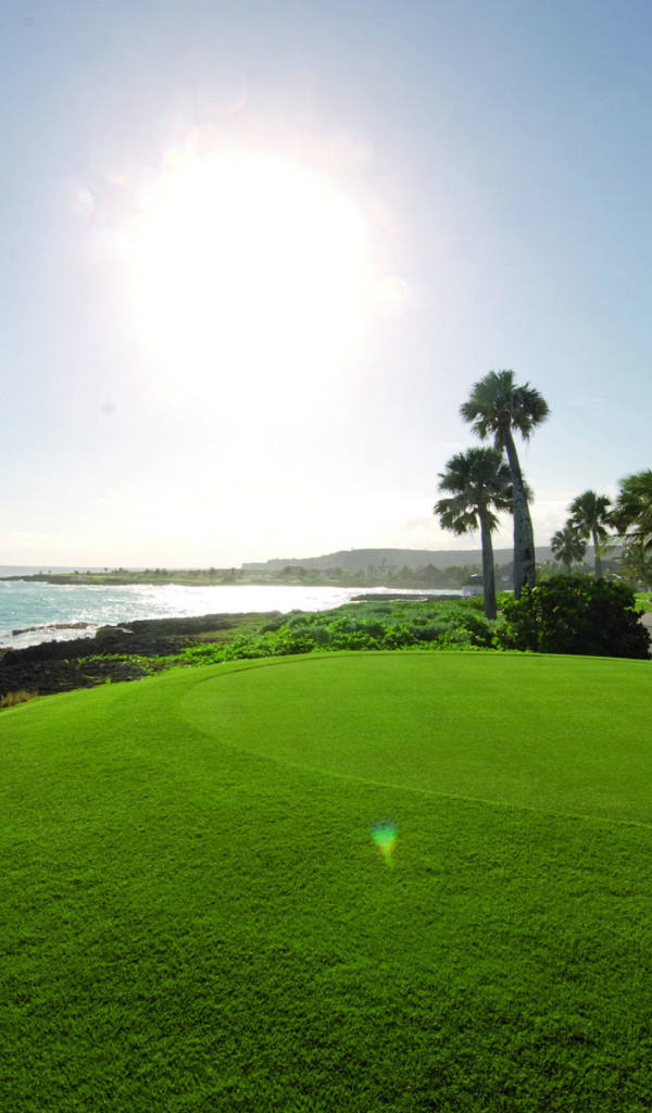 Поля для гольфа