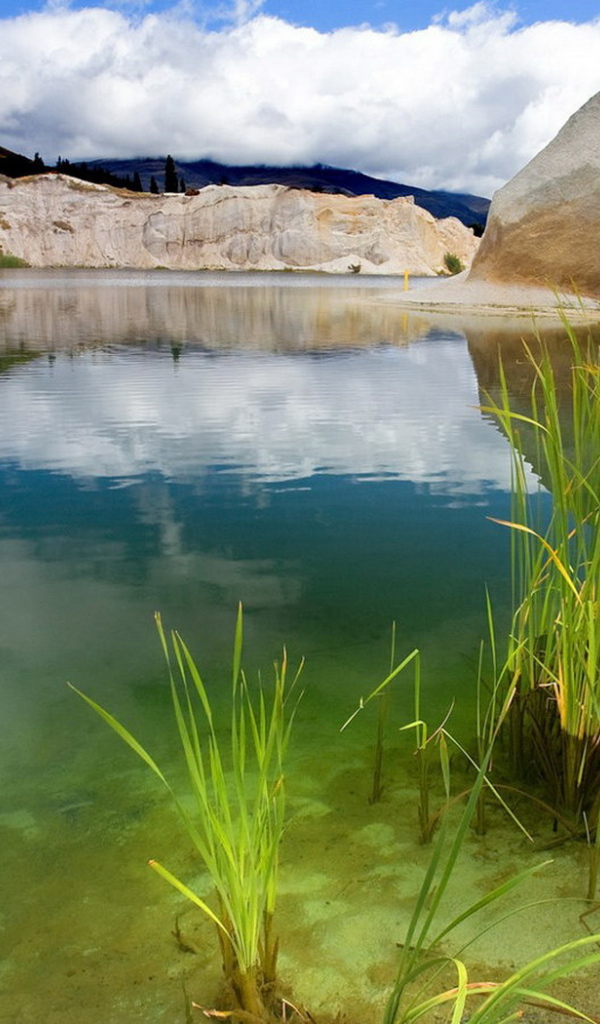 Зеленая вода