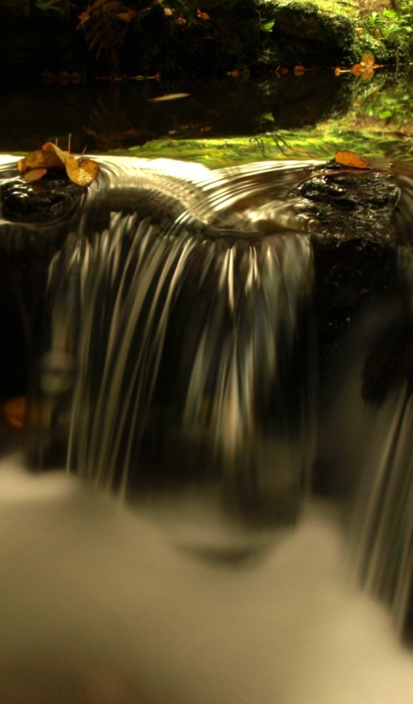 Источник жизни