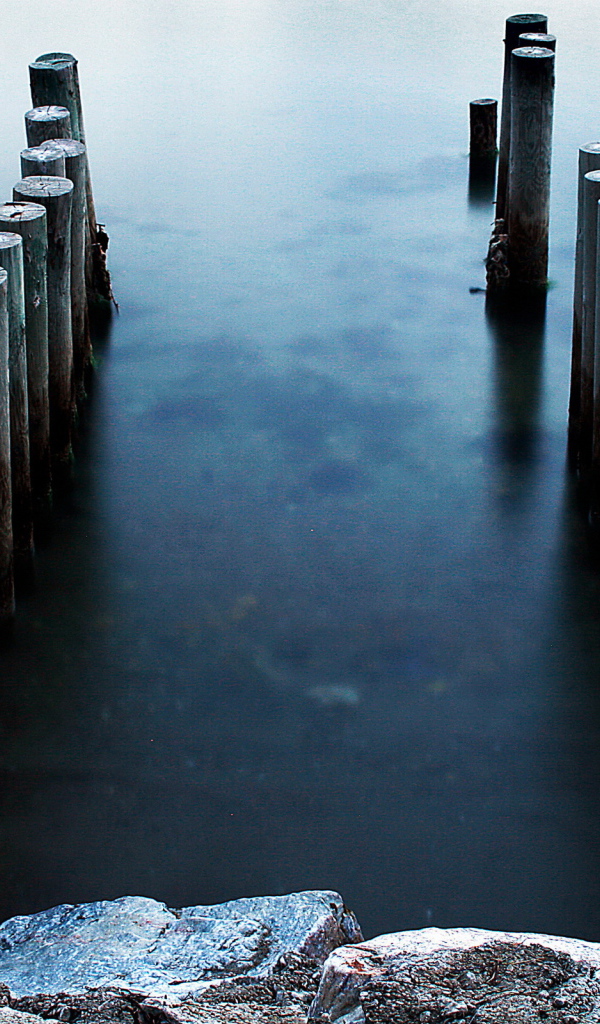 Бревна в воде