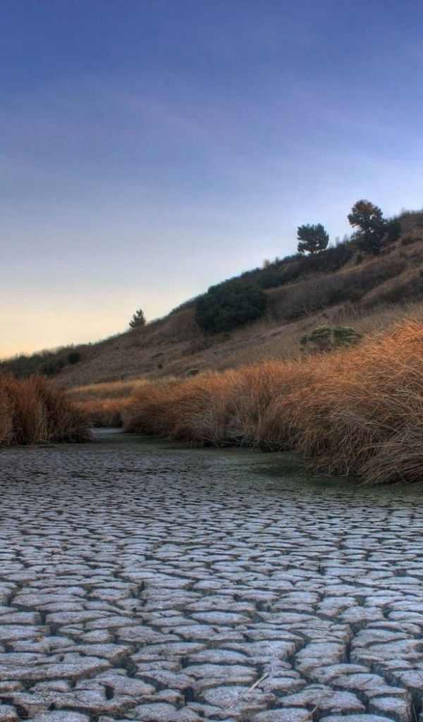 Высохшее русло