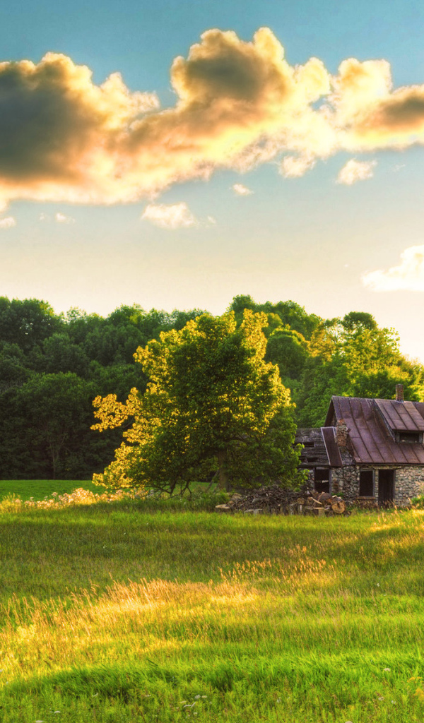 Старый домик на поляне