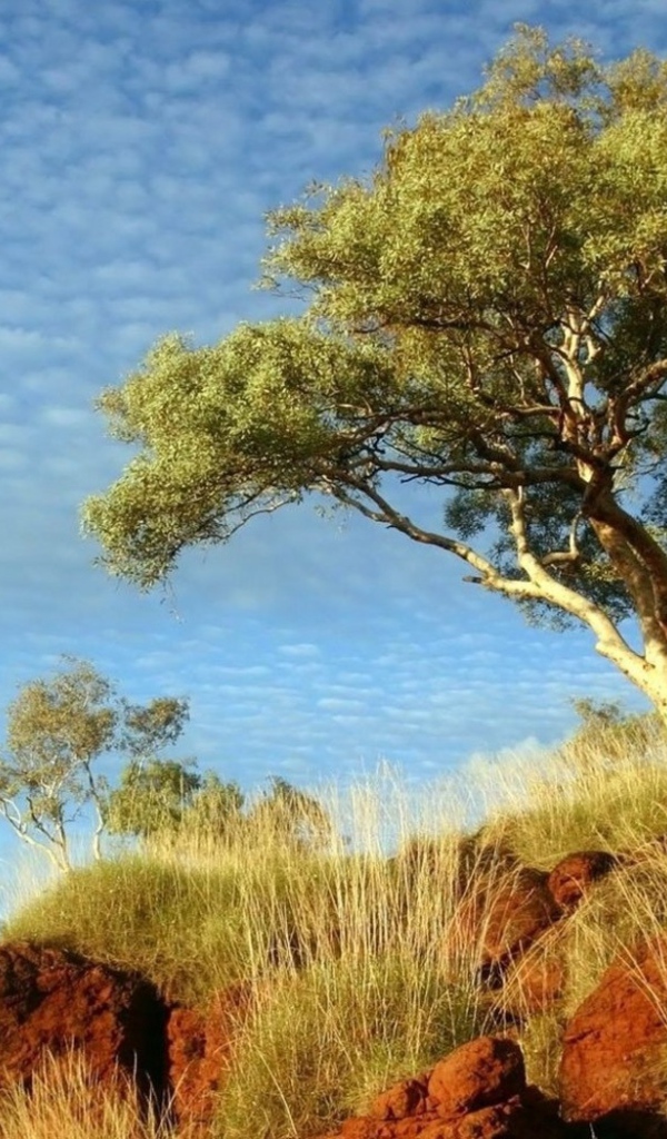 В солнечный день