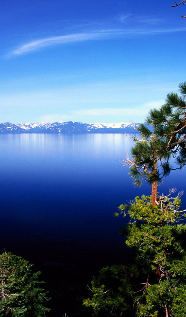 На фоне горного озера