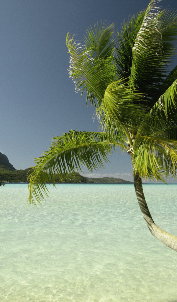 Райские острова