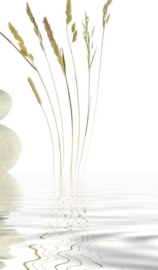 Отражение в воде