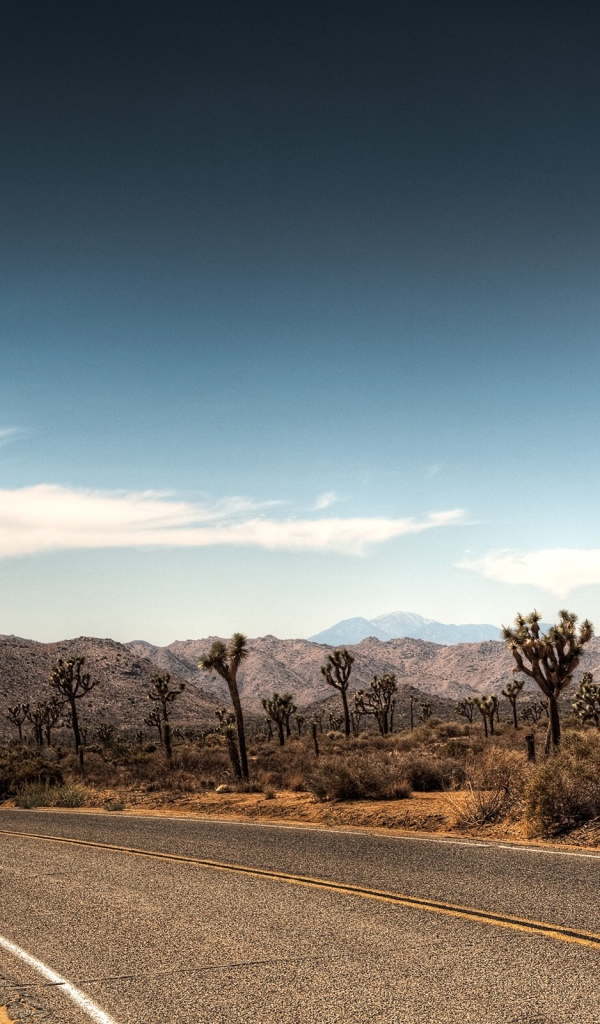 Дорога в пустыне