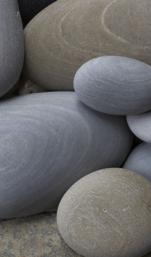 Морская галька