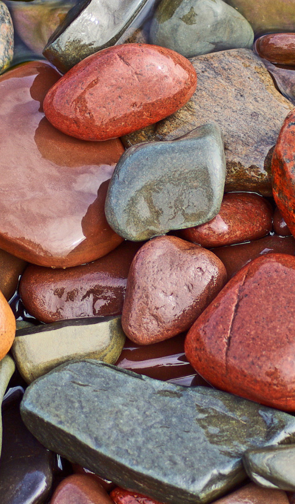 Мокрые камни