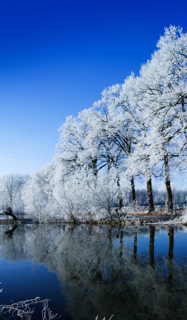 Зимняя свежесть