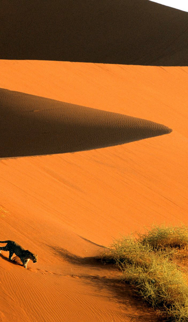 песчаные дюны