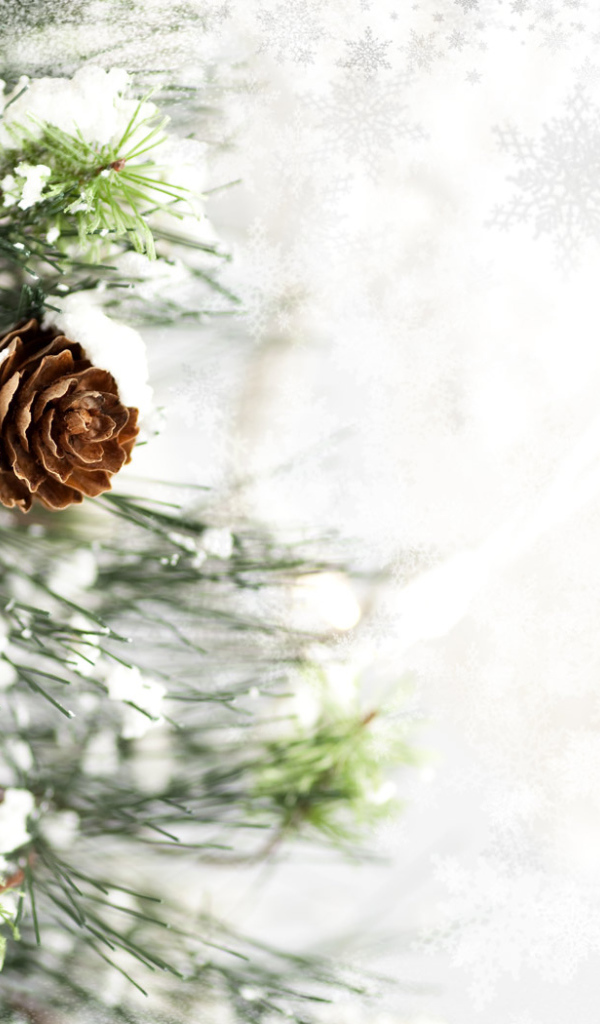 Ветка с шишкой