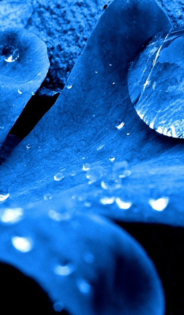 Синий листок