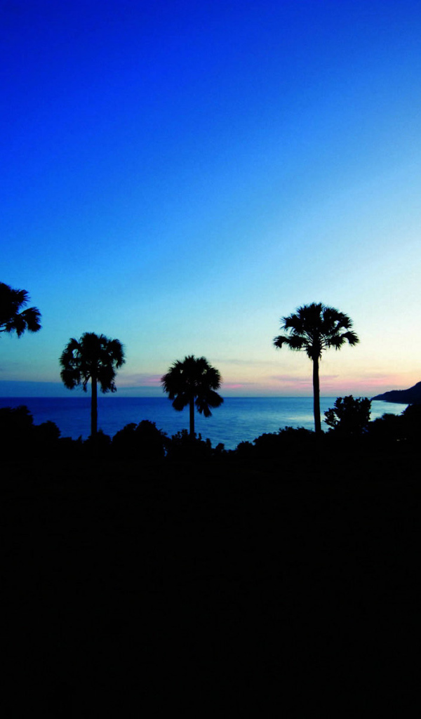 Рассвет над побережьем