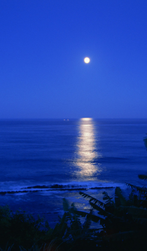 Лунная дорожка