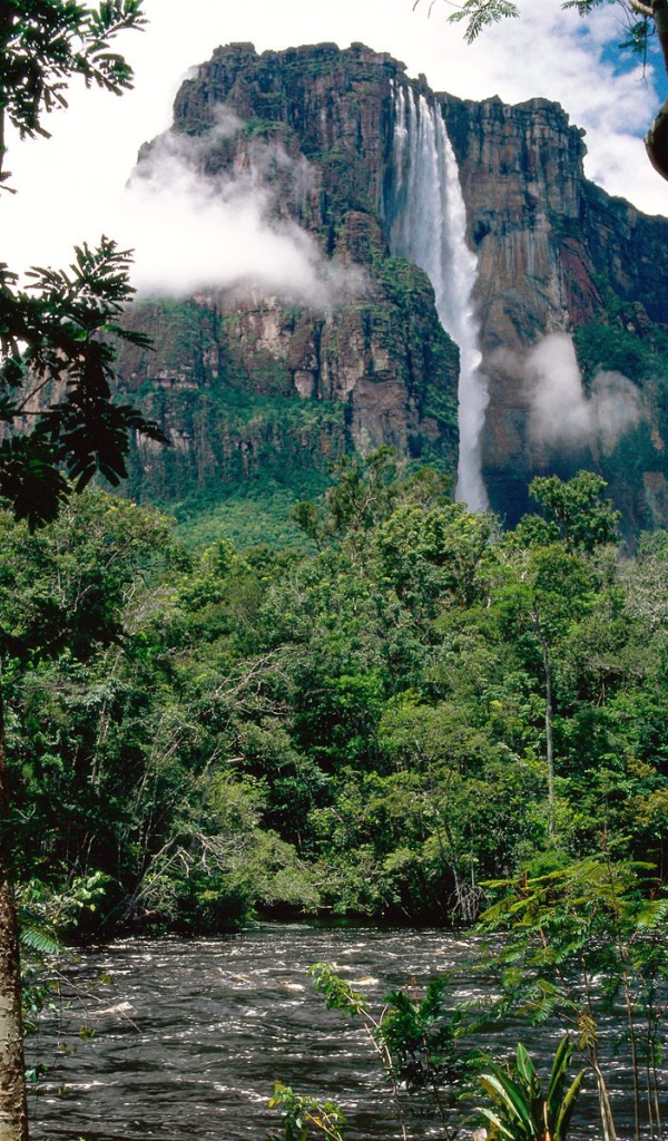 Водопад Ангела Венесуэла