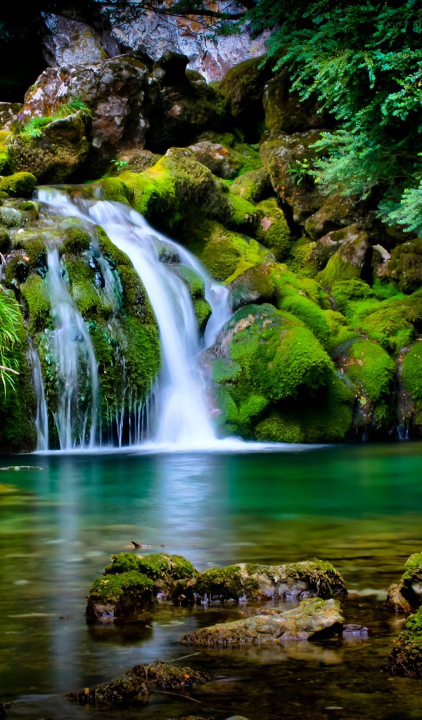 Водопад озеро джунгли