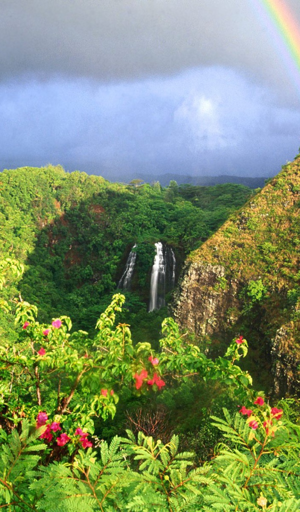 Водопад Опаека Гаваи