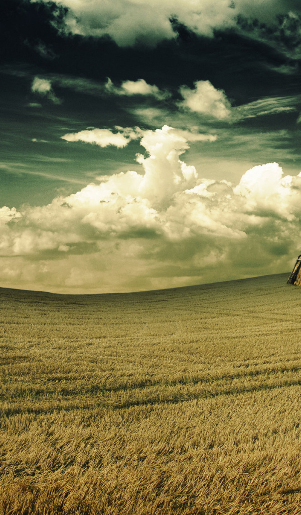 Биг-Бен в поле