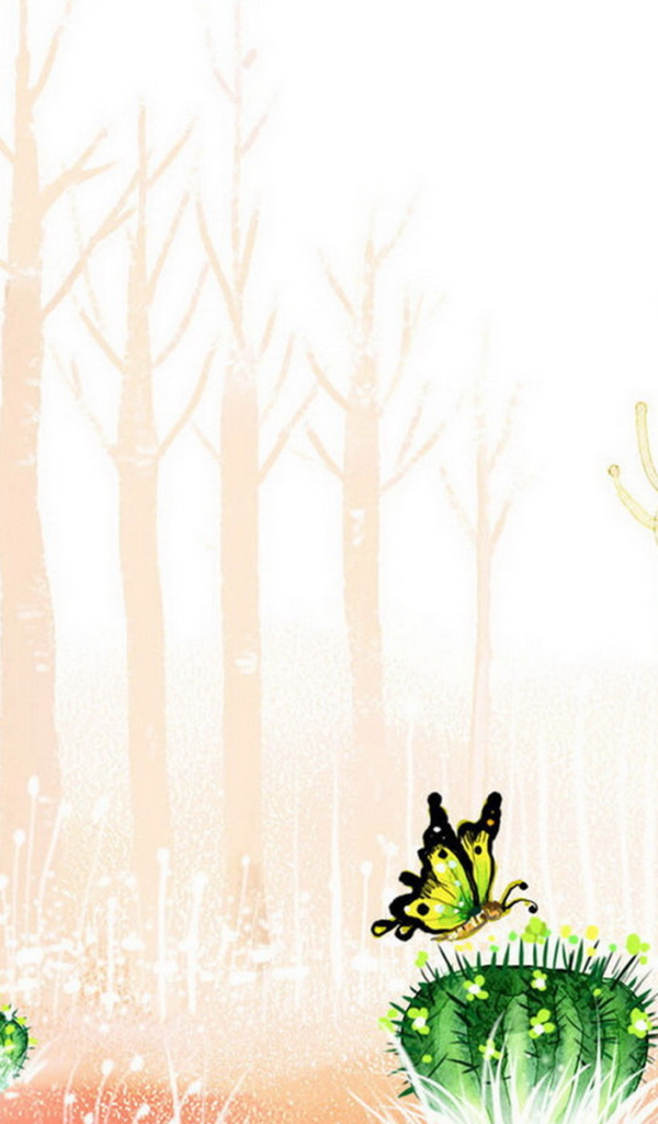 Цветущие кактусы