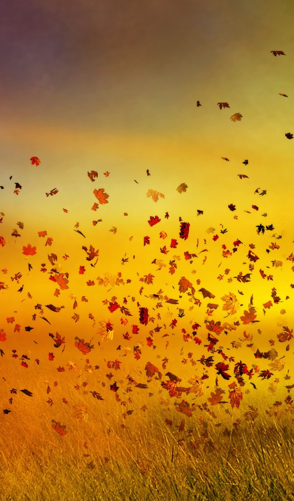 Изображение осени