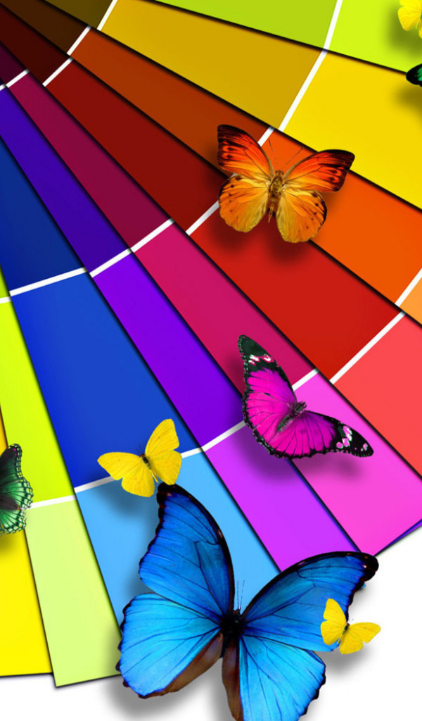 Разноцветные бабочки